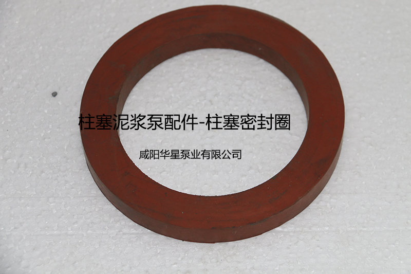 柱塞密封圈.jpg